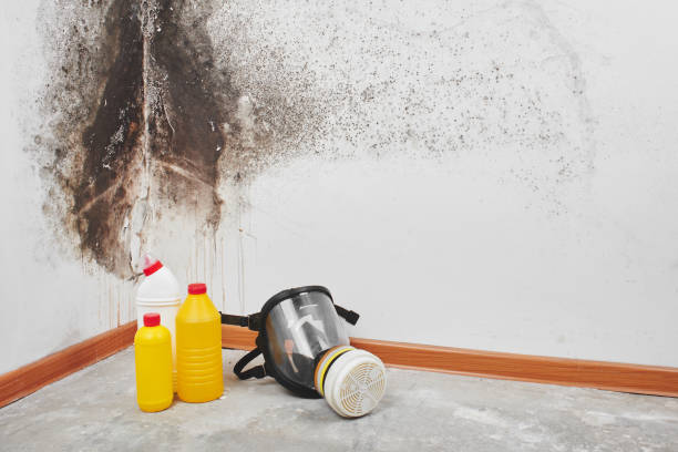 Best Mold Removal Company Near Me  in Crescent, OK