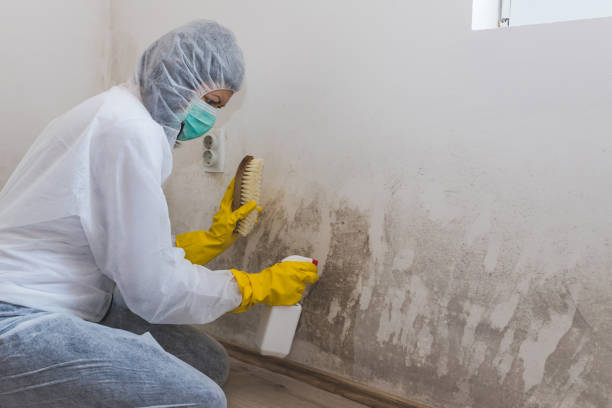 Best Black Mold Removal  in Crescent, OK