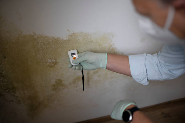 Best Crawl Space Mold Removal  in Crescent, OK