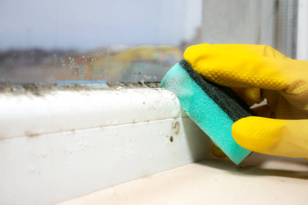 Best Toxic Mold Removal  in Crescent, OK