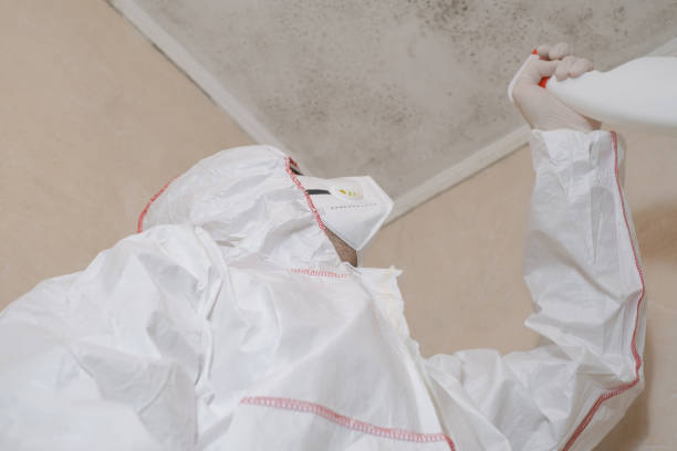 Best Mold Remediation Services  in Crescent, OK