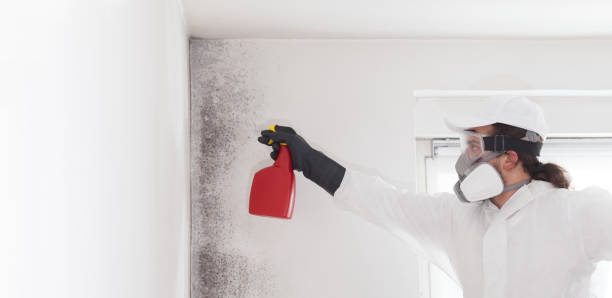 Best Fast Mold Removal  in Crescent, OK
