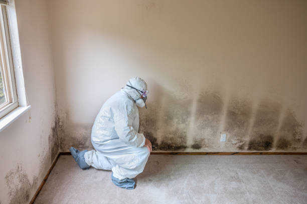 Best Mold Cleaning Services  in Crescent, OK