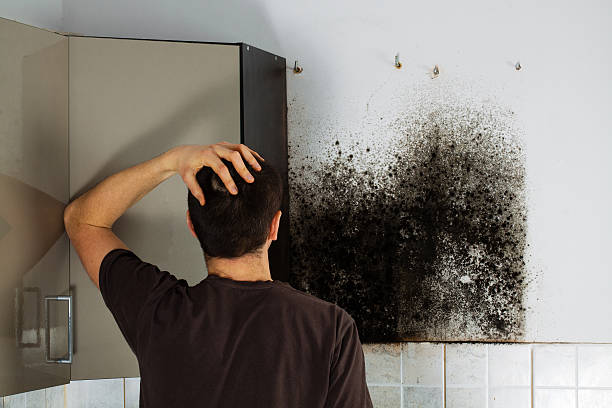 Mold Removal and Inspection in Crescent, OK
